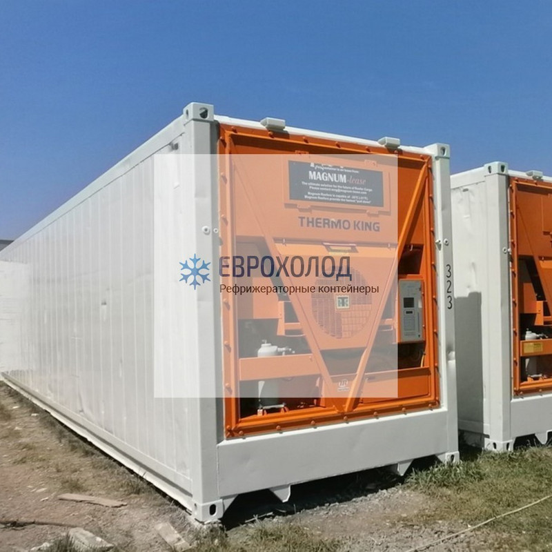 Рефконтейнер 40 футов Thermo King Magnum